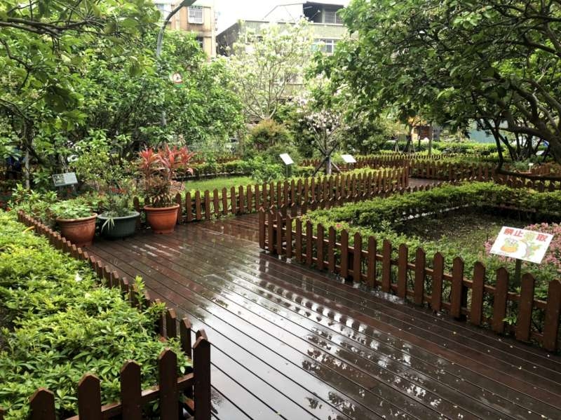 4﹒雨中步道