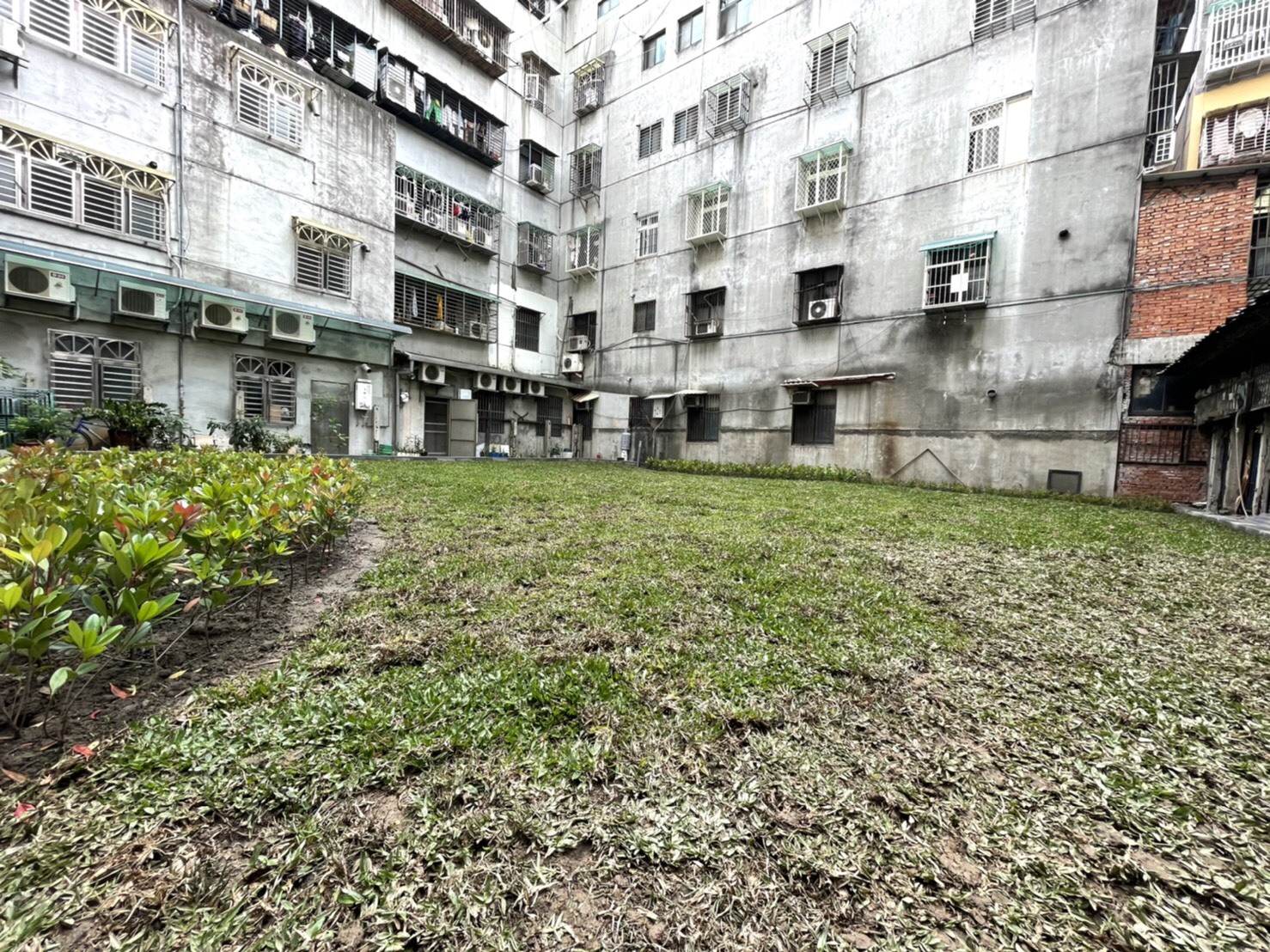 台電用地綠美化工程光華1230地號完工照片