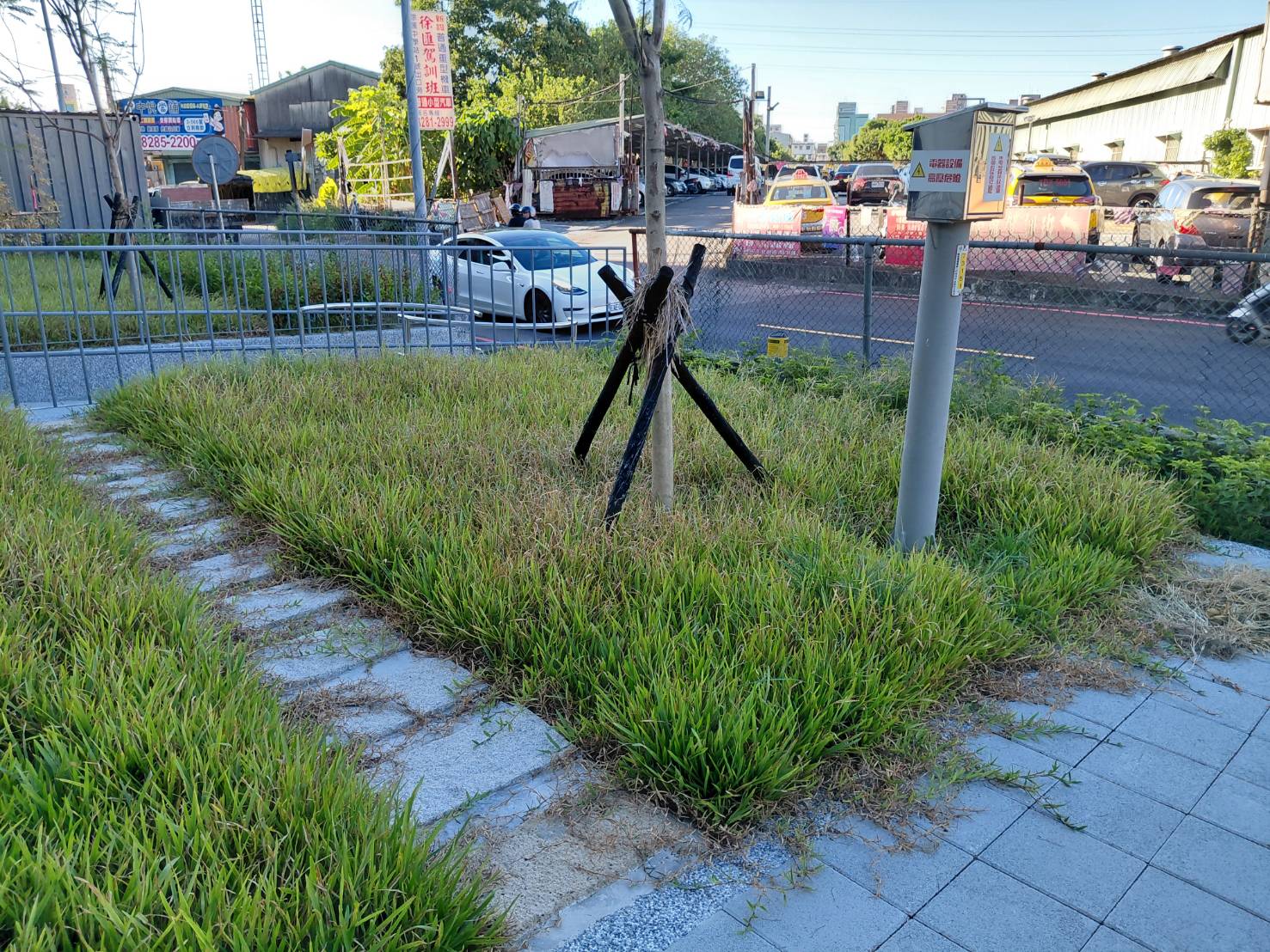 國道綠美化工程竣工照